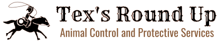 Pest Control Animal Control Tex's Round up